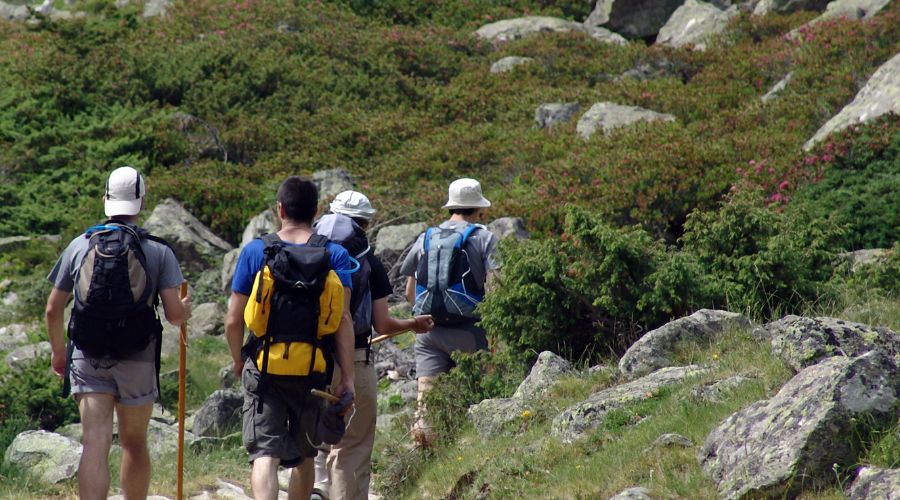 gruppo di escursionisti passeggiano su un sentiero in montagna