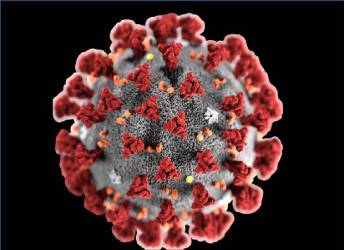 Clicca per accedere all'articolo CORONAVIRUS - INDICAZIONI E AGGIORNAMENTI