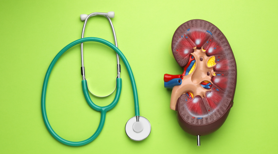 magine con raffigurazione di uno stetoscopio e di un rene su sfondo verde 